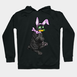 Bobtail BunnyCat: Black Tabby (Pink) Hoodie